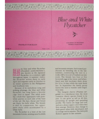 Blue and White Flycatcher - certyfikat