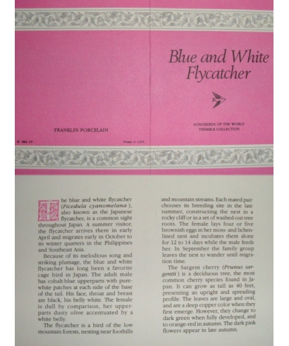 Blue and White Flycatcher - certificate