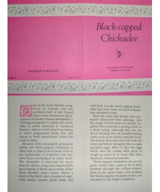 Black-capped Chickadee - certificate