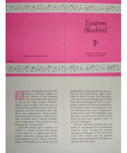 Eastern Bluebird - certyfikat