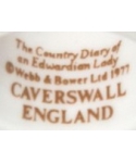 Caverswall - The Country Diary of an Edwardian Lady (brązowy)