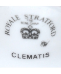 Royal Stratford Clematis