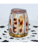 Cowrie shell