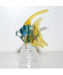 Glass fish