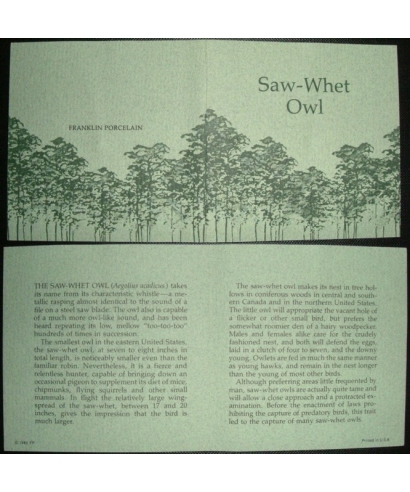 Saw-Whet Owl - certificate