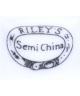 Riley's Semi China