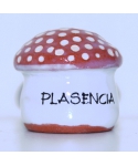 Toadstool from Plasencia