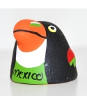 Mexican toucan