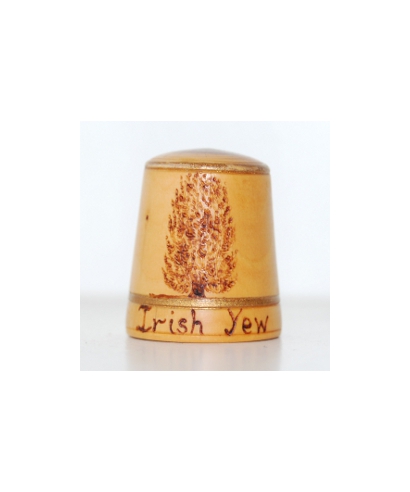 Irish yew