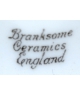 Branksome Cearmics England