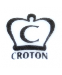 Croton